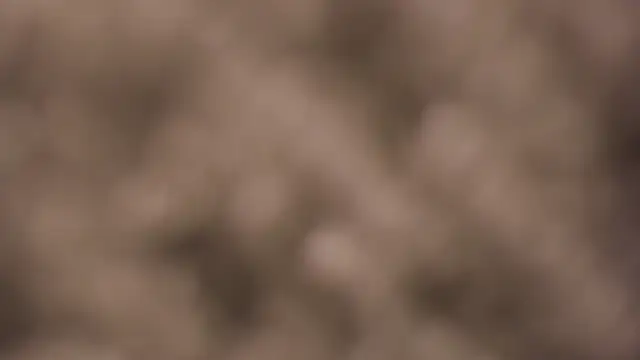 Snapshot of lauren_bigboobs22 chatting on 03/04/26, 06:14 lauren bigboobs22 online show from 03/04/26, 06:14