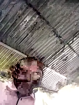 sharpei online show from 02/19/26, 06:48