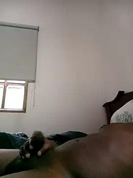 sharpei online show from 03/24/26, 11:48