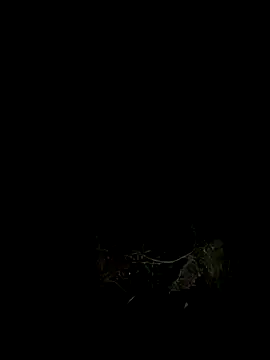 Snapshot of Adele_Pinkk chatting on 10/07/25, 12:02 Adele Pinkk online show from 10/07/25, 12:02