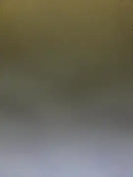 Snapshot of Adele_Pinkk chatting on 10/14/25, 12:50 Adele Pinkk online show from 10/14/25, 12:50