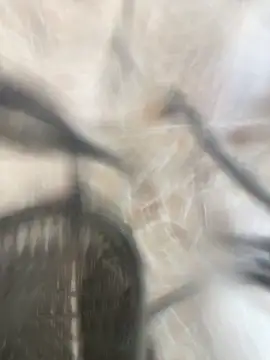 Snapshot of Adele_Pinkk chatting on 10/17/25, 01:14 Adele Pinkk online show from 10/17/25, 01:14