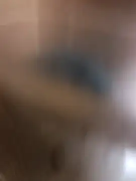 Snapshot of kirikou0644 chatting on 03/10/26, 04:34 kirikou0644 online show from 03/10/26, 04:34