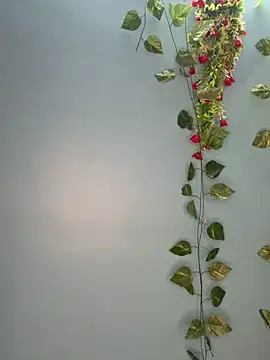 Snapshot of V-Hot-Sweti chatting on 03/30/26, 05:25 V-Hot-Sweti online show from 03/30/26, 05:25