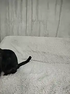 Layla fontainex x online show from 09/29/25, 01:49