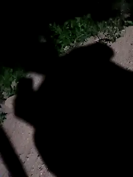 Snapshot of Sapna_cutt chatting on 09/10/25, 11:49 Sapna cutt online show from 09/10/25, 11:49