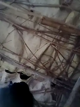 Snapshot of Sapna_cutt chatting on 10/14/25, 12:28 Sapna cutt online show from 10/14/25, 12:28