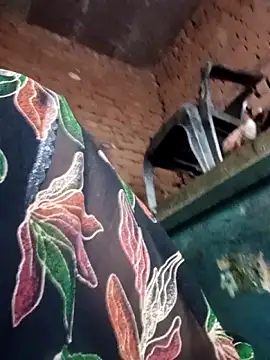 Rashili jaan online show from 02/11/26, 03:39