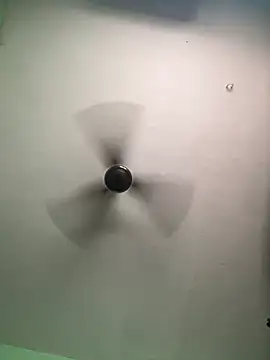 tamil Nila  online show from 09/15/25, 09:53