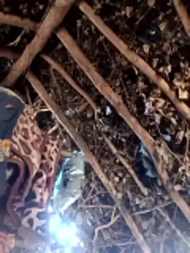 Snapshot of Hot_rachnasexy chatting on 03/09/26, 05:55 Hot rachnasexy online show from 03/09/26, 05:55