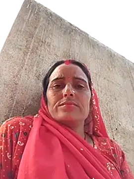 Jalebi bay online show from 11/23/25, 10:04