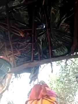 H seema online show from 02/09/26, 01:53