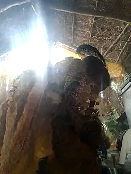 Snapshot of LUCKY_cut chatting on 11/22/25, 03:05 LUCKY cut online show from 11/22/25, 03:05