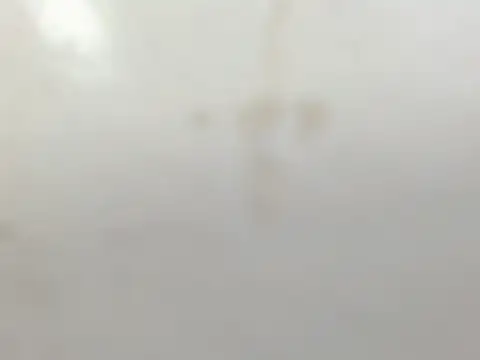 Snapshot of Penelopee_Rouse chatting on 10/20/25, 07:25 Penelopee Rouse online show from 10/20/25, 07:25