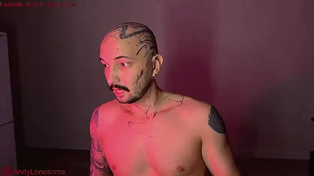 Snapshot of AndyLonesome chatting on 09/12/25, 08:42 AndyLonesome online show from 09/12/25, 08:42