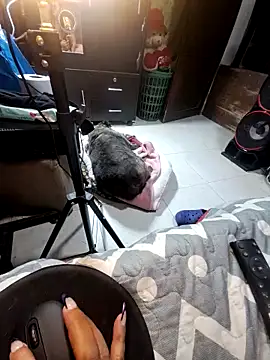 anythompsom online show from 11/10/25, 11:15