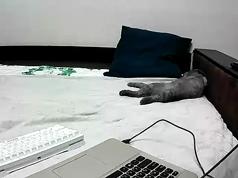 Snapshot of black_lany chatting on 09/22/25, 02:41 black lany online show from 09/22/25, 02:41