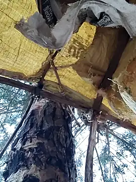 Snapshot of Janvi_Jaitly chatting on 11/23/25, 01:16 Janvi Jaitly online show from 11/23/25, 01:16