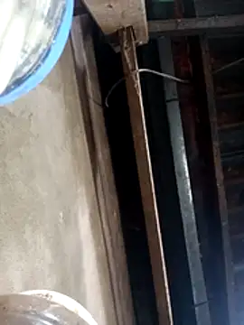 siki-00 online show from 10/21/25, 03:40