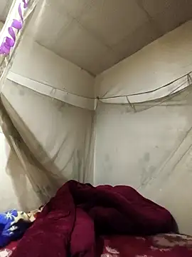 siki-00 online show from 02/15/26, 08:13