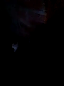 nini-will online show from 09/18/25, 10:28