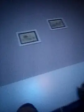 Snapshot of NiceBadgera chatting on 09/21/25, 01:18 NiceBadgera online show from 09/21/25, 01:18