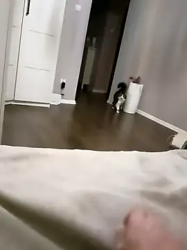 Snapshot of NiceBadgera chatting on 10/10/25, 06:40 NiceBadgera online show from 10/10/25, 06:40