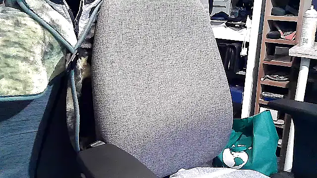 Snapshot of georgew62 chatting on 09/20/25, 11:50 georgew62 online show from 09/20/25, 11:50