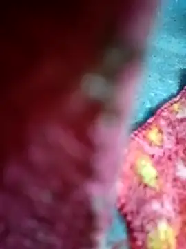 Sharmili xx online show from 09/25/25, 08:23