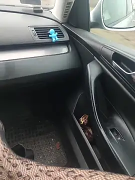 MiriandZacki online show from 12/21/25, 12:23