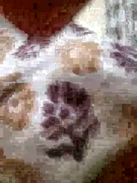 Snapshot of roshankakol chatting on 11/21/25, 05:33 roshankakol online show from 11/21/25, 05:33