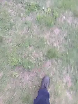 Pondo10 online show from 11/13/25, 03:55