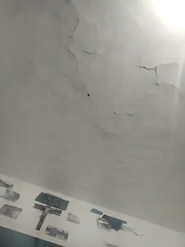 Ferxxxo1503 online show from 12/02/25, 05:02