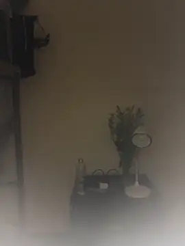 Snapshot of SLNatasha chatting on 03/12/26, 03:29 SLNatasha online show from 03/12/26, 03:29