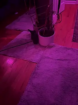 Snapshot of twunkwitadunk chatting on 11/22/25, 03:22 twunkwitadunk online show from 11/22/25, 03:22