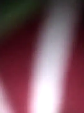 Hot cupal online show from 09/17/25, 06:59