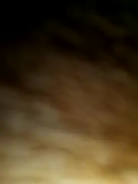 Snapshot of WolfMenSL chatting on 10/08/25, 03:37 WolfMenSL online show from 10/08/25, 03:37