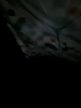 8133vaibhavh online show from 02/04/26, 02:28