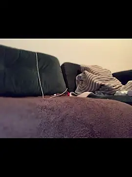 Snapshot of Immerhartundgeil chatting on 04/11/26, 06:56 Immerhartundgeil online show from 04/11/26, 06:56