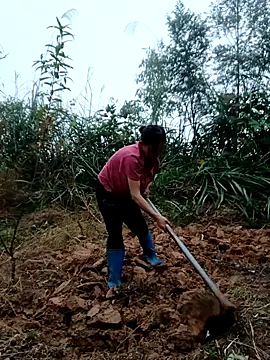 kemtuoi-sex online show from 10/31/25, 08:37