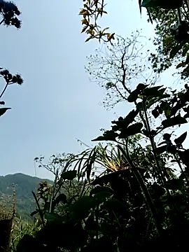 Snapshot of kemtuoi-sex chatting on 04/08/26, 03:17 kemtuoi-sex online show from 04/08/26, 03:17