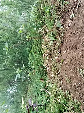 Snapshot of kemtuoi-sex chatting on 04/19/26, 09:41 kemtuoi-sex online show from 04/19/26, 09:41