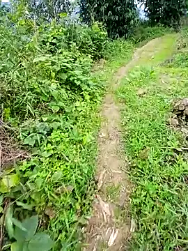 kemtuoi-sex online show from 06/07/26, 03:21