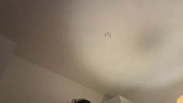 Snapshot of Swedishfish69 chatting on 02/08/26, 04:32 Swedishfish69 online show from 02/08/26, 04:32