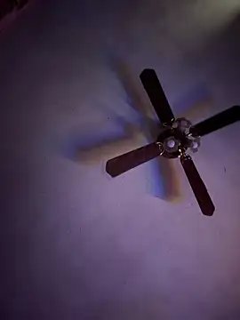 shortywidaphatty online show from 04/15/26, 07:58