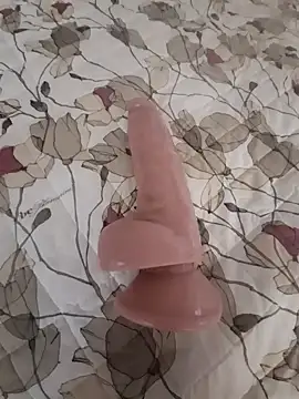 Snapshot of gattosilvestro1974 chatting on 10/20/25, 12:49 gattosilvestro1974 online show from 10/20/25, 12:49