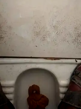 Snapshot of haryanaboypanipat12 chatting on 03/17/26, 01:21 haryanaboypanipat12 online show from 03/17/26, 01:21