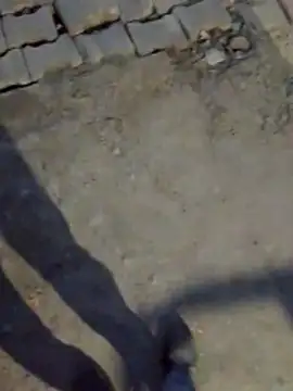 Snapshot of haryanaboypanipat12 chatting on 03/17/26, 01:25 haryanaboypanipat12 online show from 03/17/26, 01:25