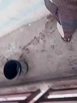 Snapshot of haryanaboypanipat12 chatting on 04/03/26, 12:52 haryanaboypanipat12 online show from 04/03/26, 12:52