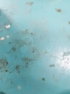 Snapshot of haryanaboypanipat12 chatting on 04/09/26, 07:25 haryanaboypanipat12 online show from 04/09/26, 07:25